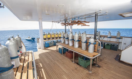 Charter 118' MV Tala Power Mega Yacht in Red Sea Governorate, Egypt