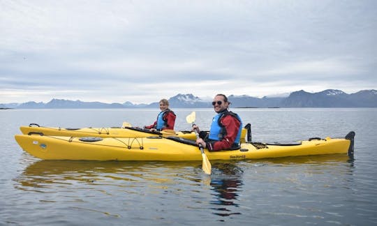 Naviguez dans le Nordland en Norvège comme jamais auparavant en kayak avec votre meilleur ami