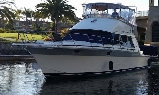 Cruises Aboard the Classic Yacht 45ft Silverton Convertible