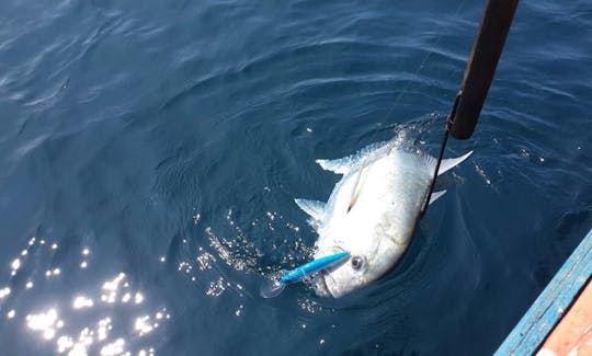 An amazing fishing experience in Colombo, Sri Lanka for 3 people