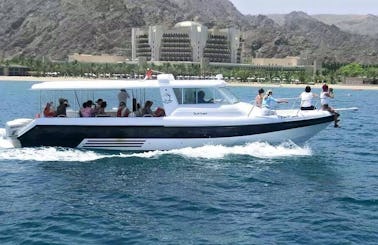 Enjoy Dolphin Watching Tours And Snorkeling Trips in Muscat, Oman on Cuddy Cabin