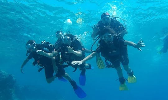 Explore the amazing underwater world in Aqaba, Jordan