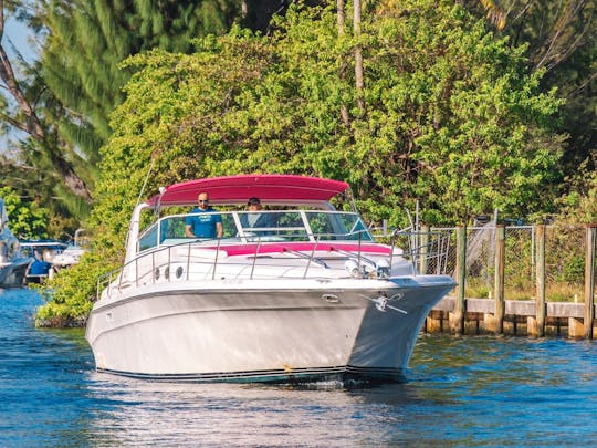 Enjoy Miami Aboard a 50' Comfortable Sea Ray Sundancer Yacht