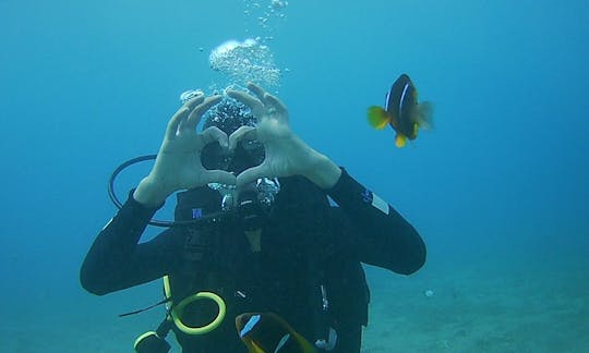 Impresionantes viajes y clases de buceo disponibles en Aqaba, Jordania