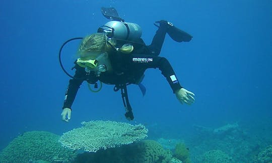 Impresionantes viajes y clases de buceo disponibles en Aqaba, Jordania