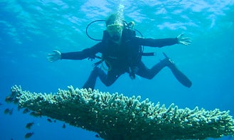 Awesome Diving Trips and Lessons available in Aqaba, Jordan