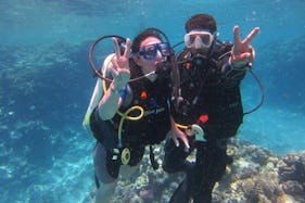 Go And Experience Scuba Diving And Diving Lessons in South Sinai Governorate, Egypt