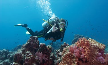 Experience Scuba Diving in Strovolos, Cyprus
