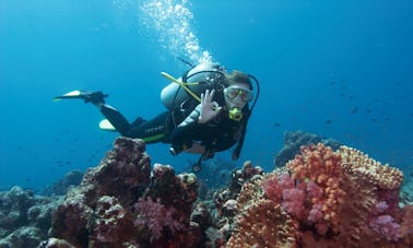 Faites de la plongée sous-marine à Strovolos, à Chypre