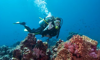 Experience Scuba Diving in Strovolos, Cyprus