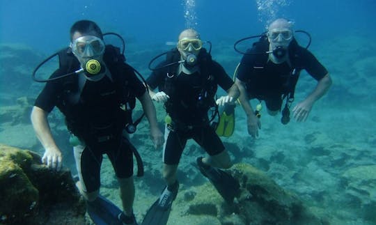 Experimenta la emoción del buceo submarino en Protaras, Chipre