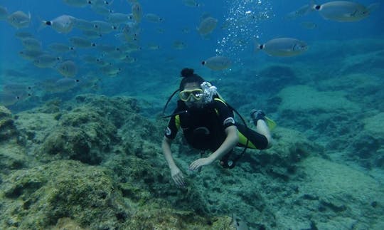 Experimenta la emoción del buceo submarino en Protaras, Chipre