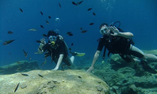 Experimenta la emoción del buceo submarino en Protaras, Chipre