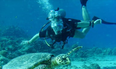 Mergulho e cursos de mergulho na província do Mar Vermelho, Egito