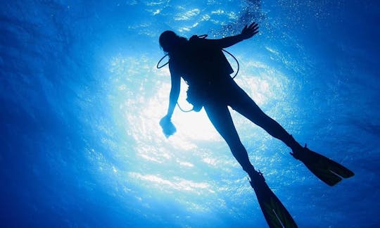 Scuba Lessons in Coffee Gully, Barbados