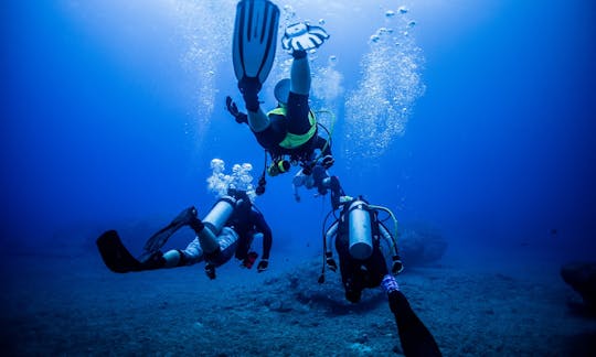 SCUBA Dive between Geumneung beach to Beeyangdo.