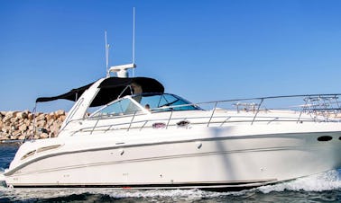 Sea Ray 455 Motor Yacht Charter in Larnaca, Cyprus