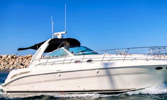 Sea Ray 455 Motor Yacht Charter in Larnaca, Cyprus