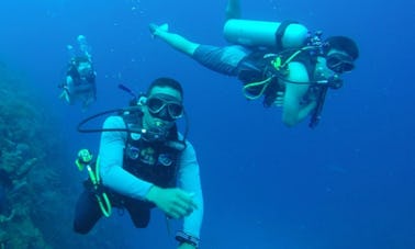 Explorez le monde sous-marin de Providencia, en Colombie