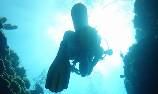 Explore Underwater World in Providencia, Colombia