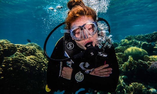Enjoy the underwater paradise in Eilat, Israel