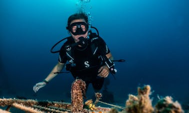 Profitez du paradis sous-marin d'Eilat, en Israël