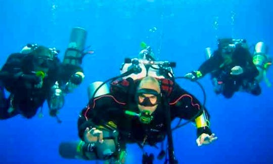 Amazing Chance To Explore Underwater World in South Sinai Governorate, Egypt