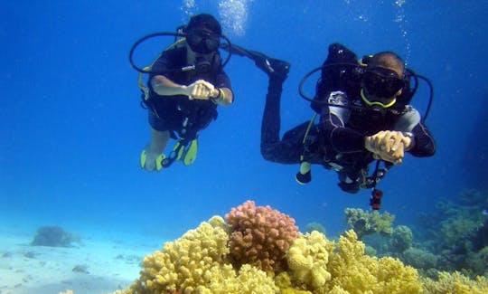 エジプトの南シナイ県の水中世界を探索する素晴らしいチャンス