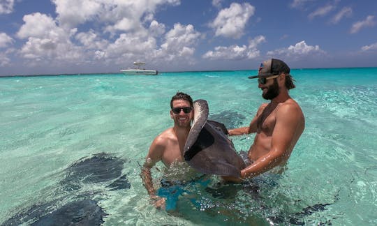 Come join us for a free massage - a Stingray massage!