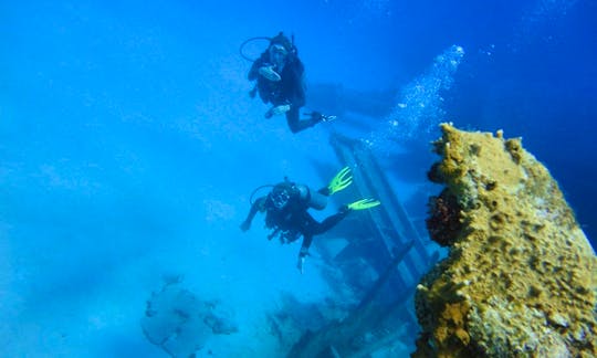 Amazing Opportunity to explore underwater world in San Andrés y Providencia, Colombia