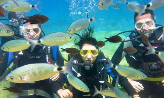 Experience Under Water Scuba Diving in Antalya, Turkey
