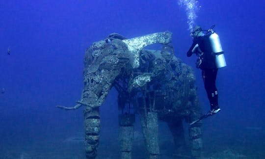 An amazing diving experience in South Sinai Governorate, Egypt