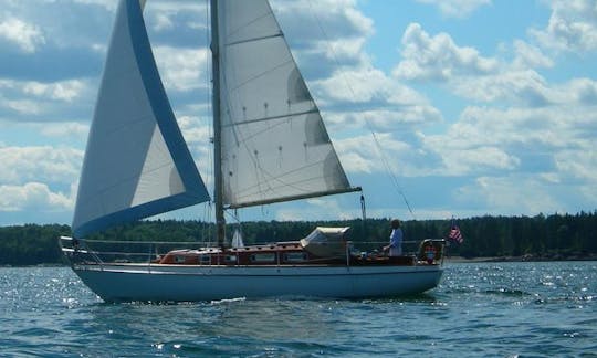 32ft Classic Swedish Sloop Sailing Charter