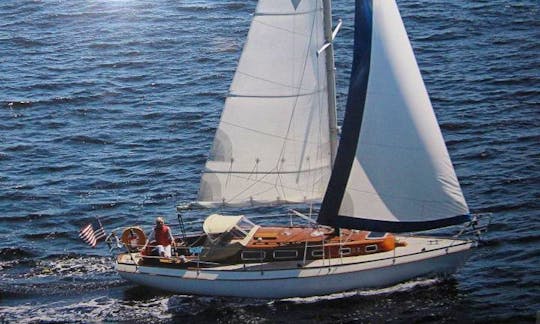 32ft Classic Swedish Sloop Sailing Charter