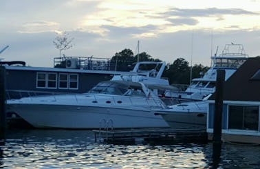 Luxurious 50' Sea Ray Sundancer Motor Yacht in Tampa, Florida