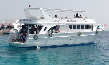 Experimenta el buceo en la gobernación del Mar Rojo, Egipto