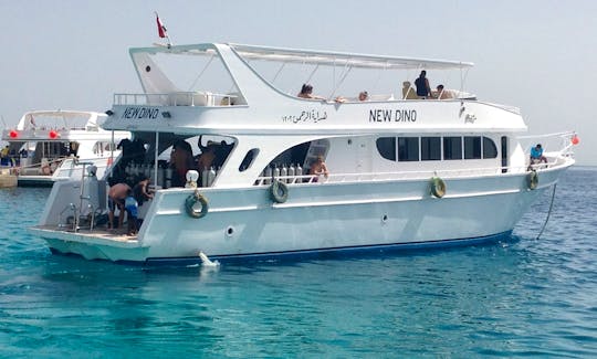 Experience Diving in Red Sea Governorate, Egypt