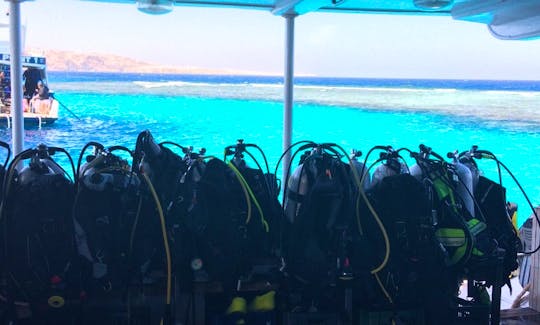 Experience Diving in Red Sea Governorate, Egypt