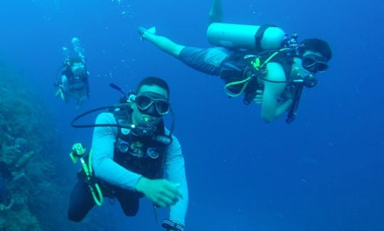 Faites de la plongée dans les îles Andaman et Nicobar, en Inde