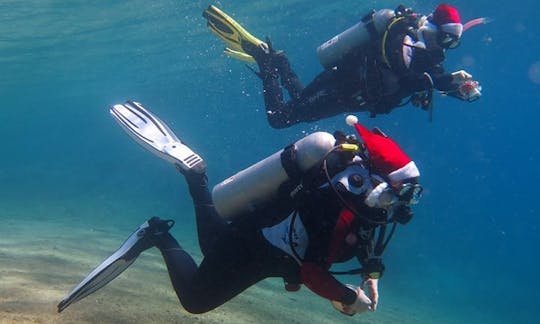 An amazing diving experience in South Sinai Governorate, Egypt