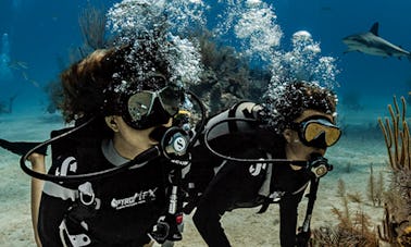 Découvrez la plongée sous-marine et les cours à Anjuna, Goa