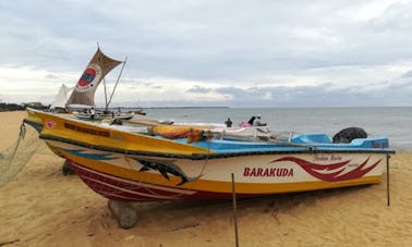 Profitez d'une expérience d'observation des baleines à Galewela, au Sri Lanka