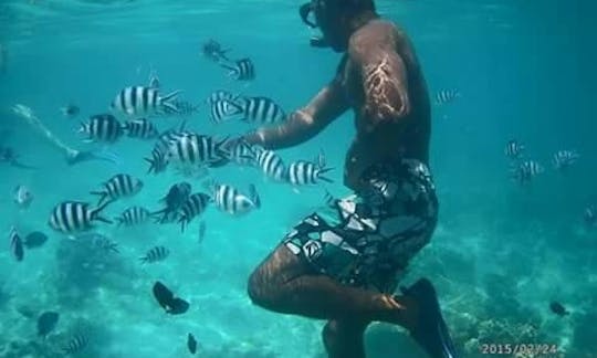 An amazing Snorkeling experience at mnemba island northZanzibar, Tanzania