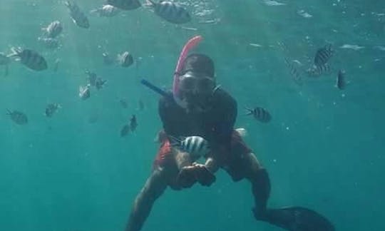 An amazing Snorkeling experience at mnemba island northZanzibar, Tanzania