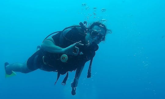 ブラジルのリオグランデドノルテでの素晴らしいダイビング体験