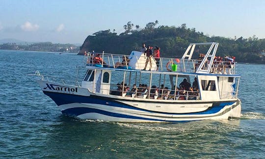 Have an amazing whale watching experience in North Western Province, Sri Lanka