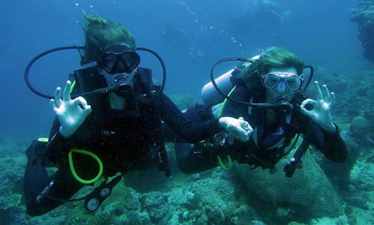 Have a Wonderful diving experience in Zanzibar, Tanzania