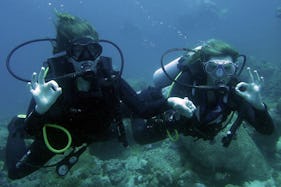 Have a Wonderful diving experience in Zanzibar, Tanzania