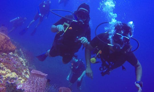 Faites de la plongée dans les îles Andaman et Nicobar, en Inde