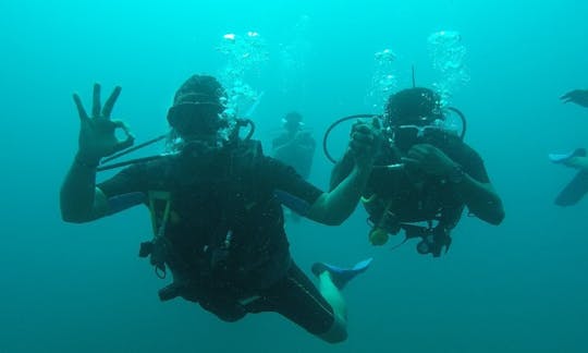 Faites de la plongée dans les îles Andaman et Nicobar, en Inde